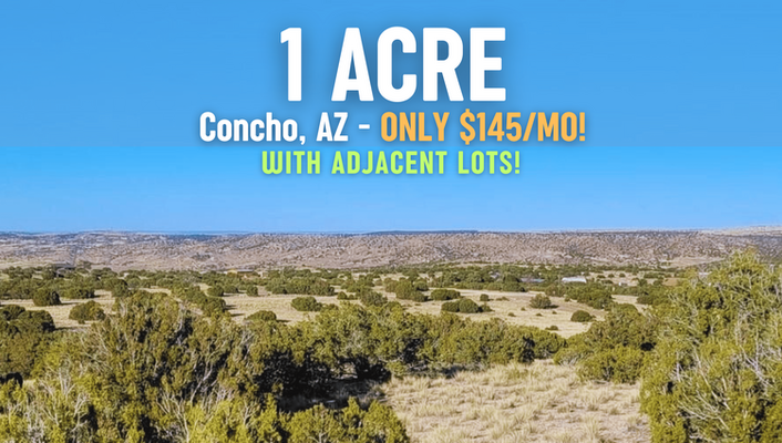 Enjoy Nature's Serenity! 1 Acre In Concho, AZ ONLY $145/MO!