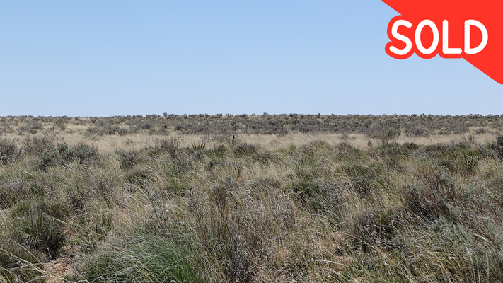 Live Life Without Restrictions on 1.16 Acres - Apache County