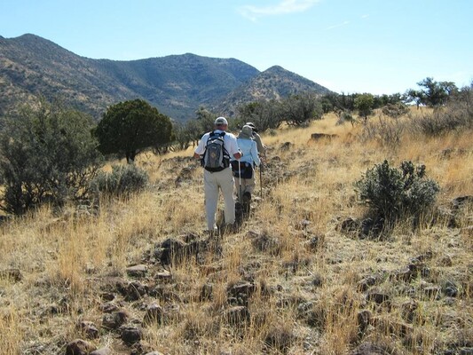  Solar-Friendly Lot for Sale outside Willcox AZ. 