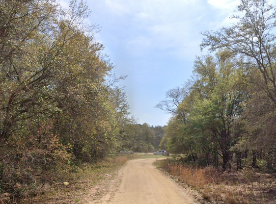 0.36 Acres in Interlachen, FL for ATVs