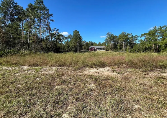 Over Half Acre Lot in Marion Oaks