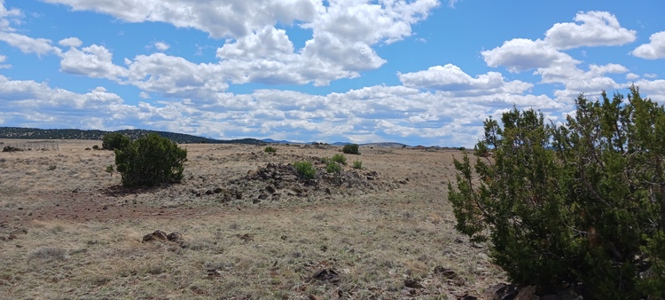 $10 DOWN CLEARANCE! 1 acre near Concho, AZ