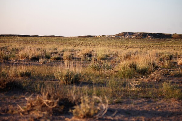 Own your ESCAPE: 1.25 acres near the Petrified Forest for just $̶1̶9̶9̶  $99 down/month!