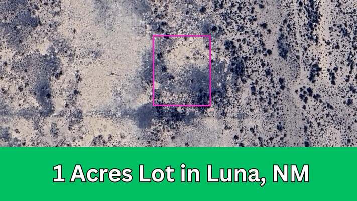 1 Acre in Luna, NM for $99 Per Month (APN: 3054152362462)