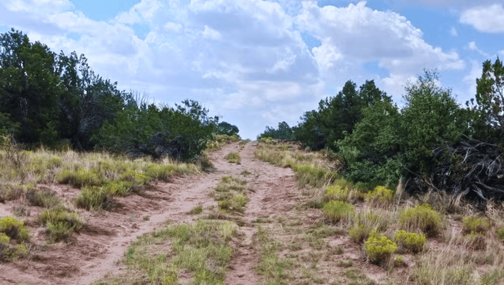 Comfort & Serenity! 1.04 Acre In Concho, AZ!  W/ Adj. Lot!