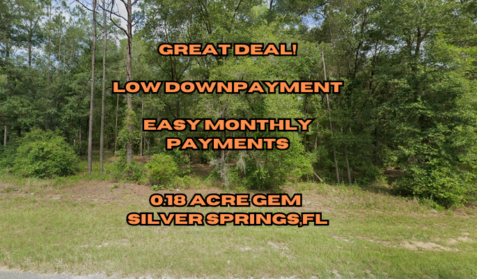 Great Deal in Silver Springs, Florida!