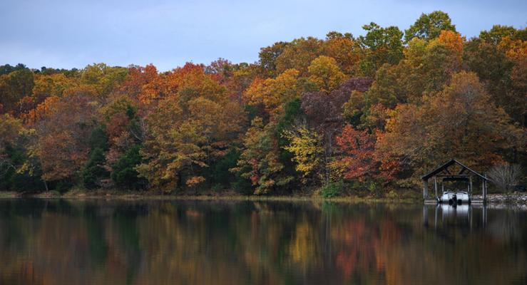 Cherokee Village, AR- Life needs more Lakes and Fireflies!