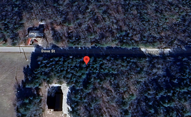 0.18 Acres in Dove Street, AR $99/mo