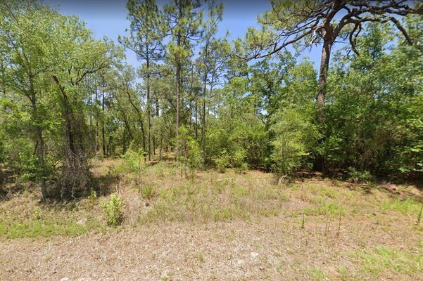 Florida’s Finest .24-Acre Residential Lot with Lovely Views - Low Monthly Payments!