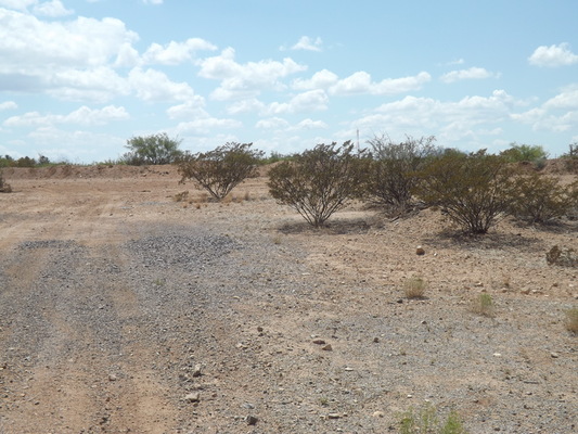 Affordable small town living, Chiricahua Mountains. $199/mo