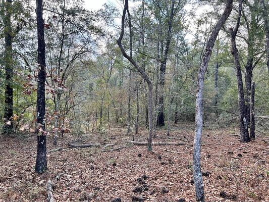 1.4 Acres in Compass Lake! Easy Owner Financing!