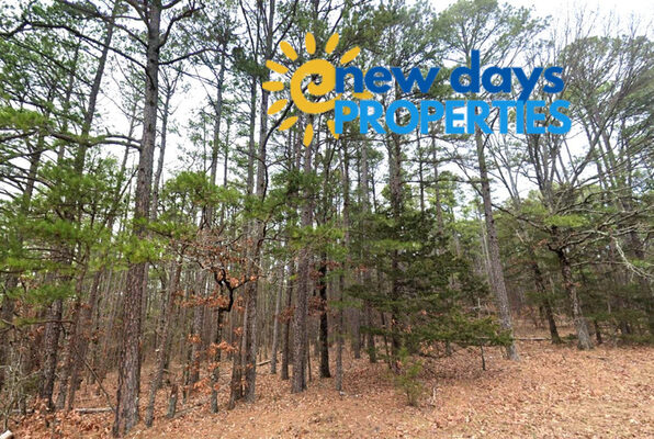 0.27 Acres Land for Sale with Lake View!  Only $99 down!