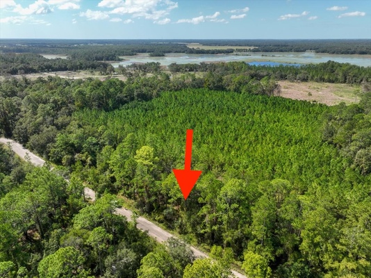 $175/mo: Marion County, FL 0.21 acres allows mobile home