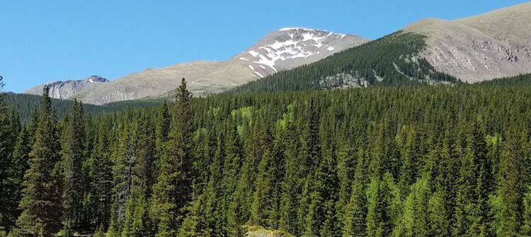 Turn 5.5 Acres into Your Desert Dream in Costilla, CO