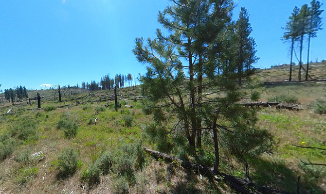 The Great Outdoors Starts Here—1.4 Acres in Klamath, OR!