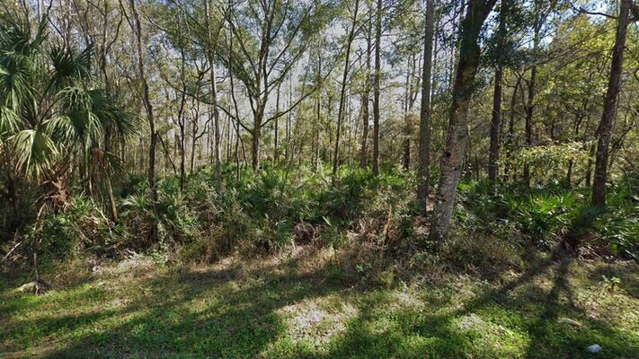 The Key to Your Future: 0.09 Acres in Pasco, FL! $199/Mo