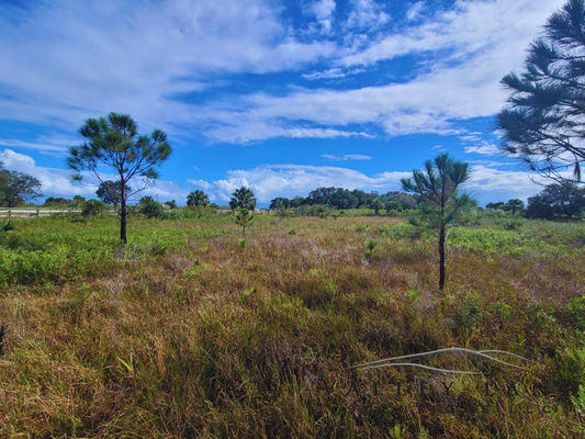 Discover the beauty of Okeechobee County and buy your own lot! ***WITH AVAILABLE POWER SUPPLY NEARBY***