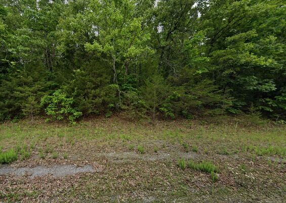 Easy Financing on 0.6 Acres Near Ozark Folk Center -$123/Mo!