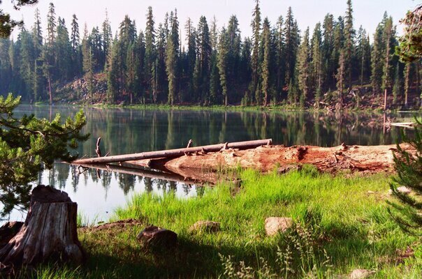 1.21 Acres to Enjoy Serenity in Modoc, CA for JUST $155/Mo!!