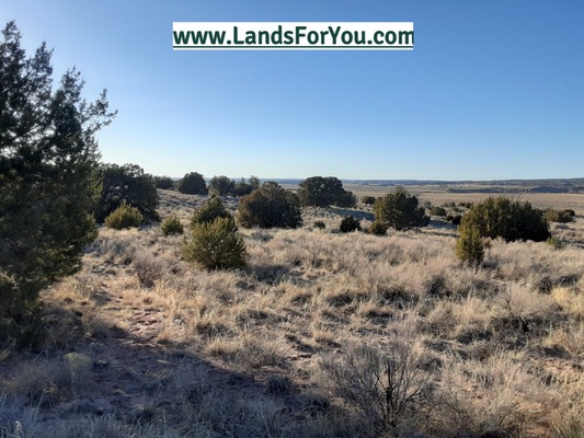 1.88-Acre Near Sander, Your Next Smart Investment!