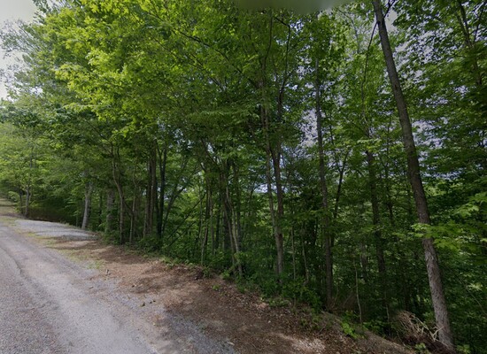 0.17 Acre in Smithville, Tennessee (only $200 a month)