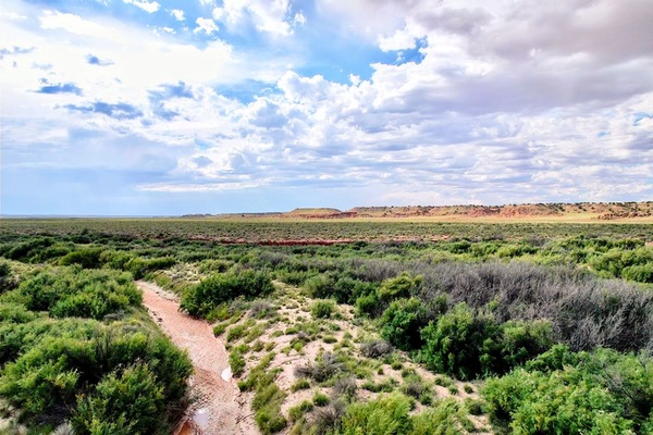 39 ACRES ON LITTLE COLORADO RIVER IN ARIZONA