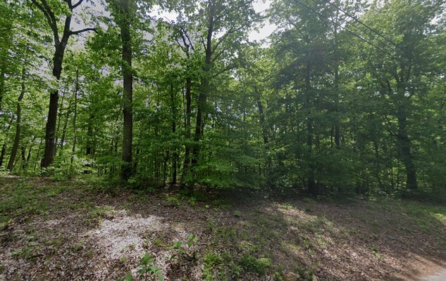 0.19 Acre in Smithville, Tennessee (only $200 a month)