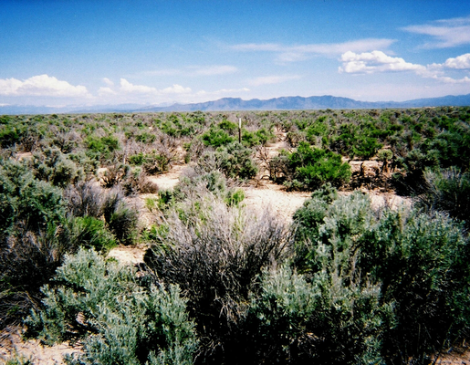 Utah, Iron County, 0.08 Acres Beryl Townsite