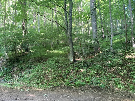 SOLD! Own 1.78 Acres in Ashe County for $497 Down & $369/Mo!