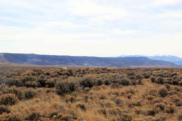 SOLD! 2.53 Acres in CO for $129 Down – Cheaper Than Netflix!