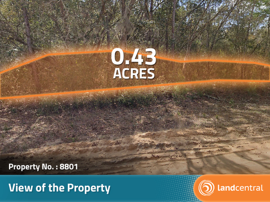 0.43 acres in Putnam, Florida - Less than $190/month