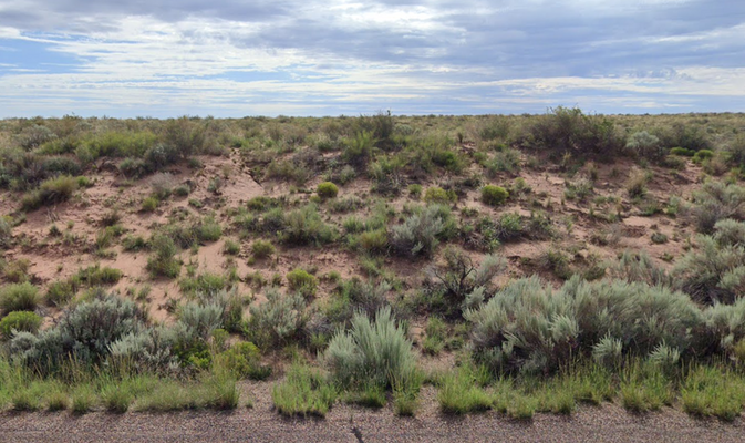 2.18 Acres in Apache with Camping Allowed for JUST $129/Mo!!