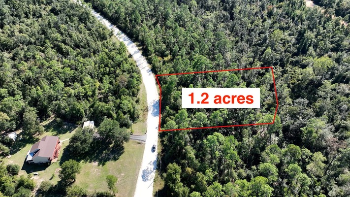 $299/mo: Jackson, FL 1.2 acres with POWER POLE on street