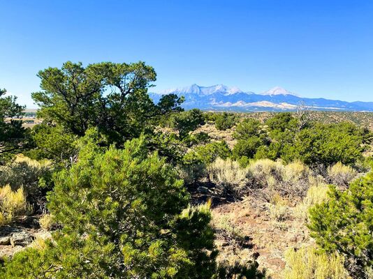 Black Friday Bliss: 5 Acres Nature’s Paradise Just $269/Mo!