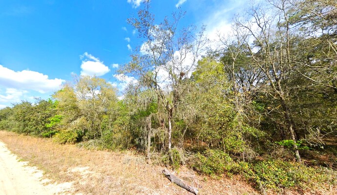 0.22 Acres Lot in  Interlachen, FL