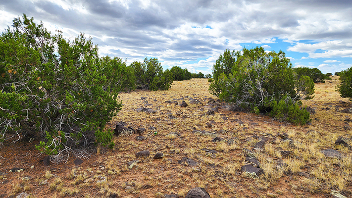 Escape the Desert Heat: Beautiful Panoramic Views in Concho