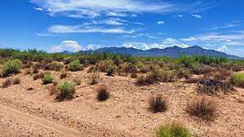 Own Your Off-Grid Oasis: 2.5-Acres in Luna, NM- $50 down!