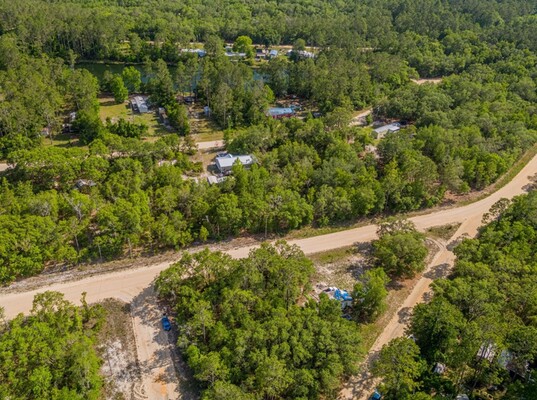 Live In The Heart Of Nature .2 Acre Lot In Putnam FL $190/MO