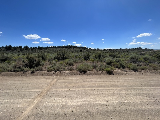 Unlock Nature's Playground! 2.19 Acre in Klamath