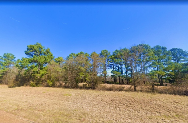 0.15 Acre in Flint, Texas (only $200 a month)