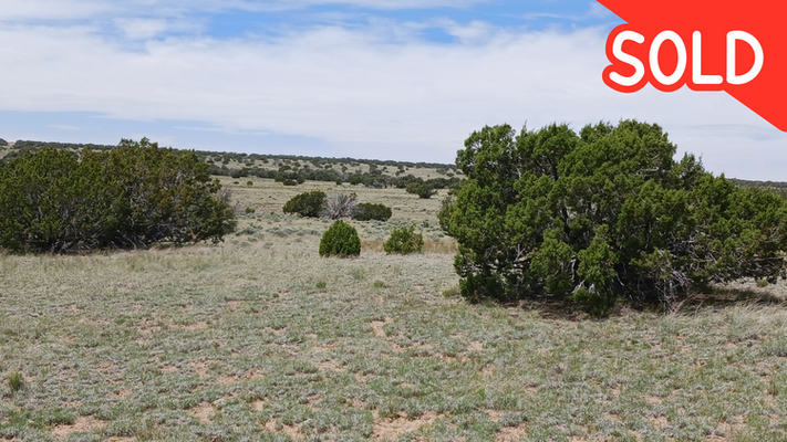 BLACK FRIDAY EXTENDED! 2.6 acres in Sanders AZ $10 Down!!!