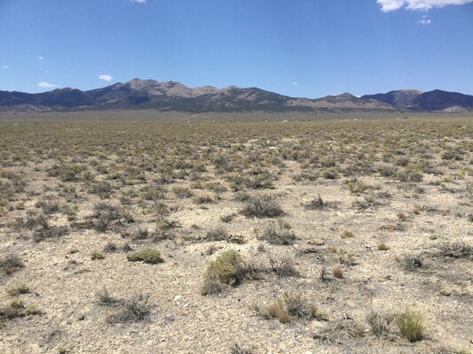 Discover Your Freedom: 2.27 Acres in the Heart of Nevada!