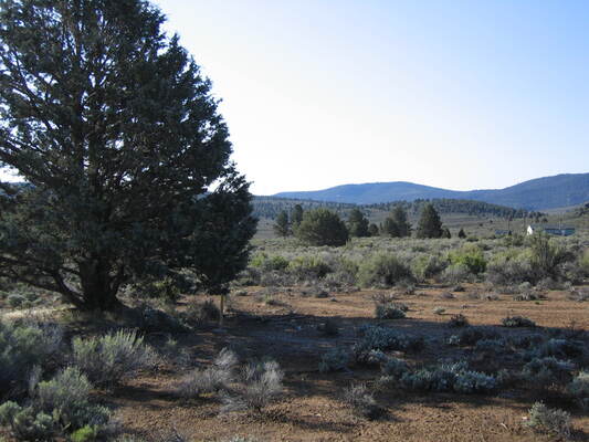 3-Acres of Buildable Land to Create Your Own Paradise!