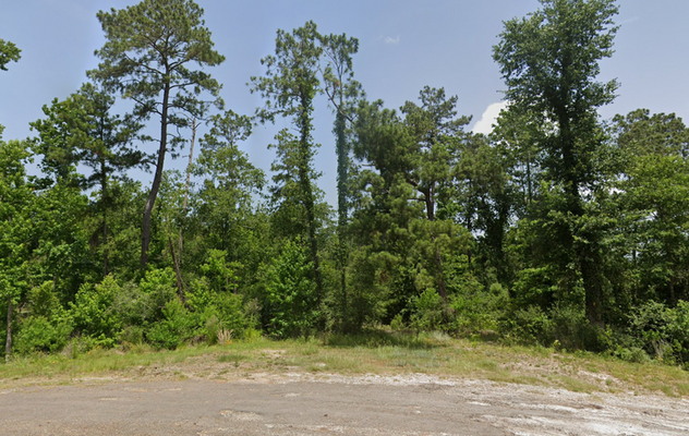 0.15 Acres: Own Your Destiny in Polk County, TX-$163.01/Mo!