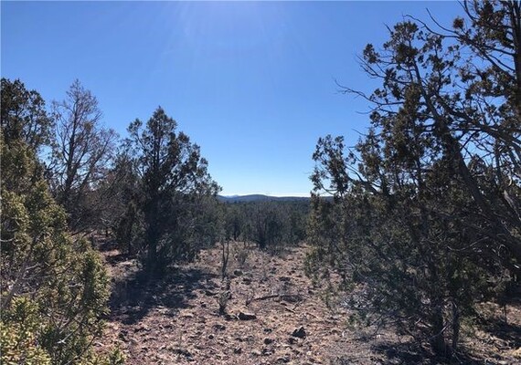 Secure Your Future with Land Investment on 2.51 acres in Mohave, AZ! Only $150/Mo