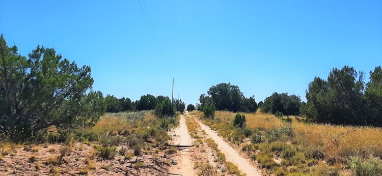 The World is Your Oyster on 1.16-Acres in Apache AZ!