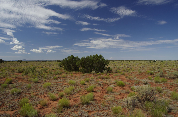 One Acre Near the Grand Canyon: A Slice of Paradise For $350