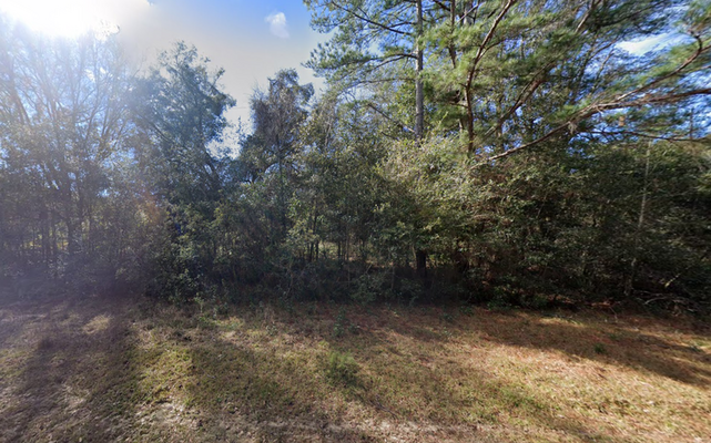 Your Ultimate .50Ac Blank Slate in Putnam, FL $300/Mo 