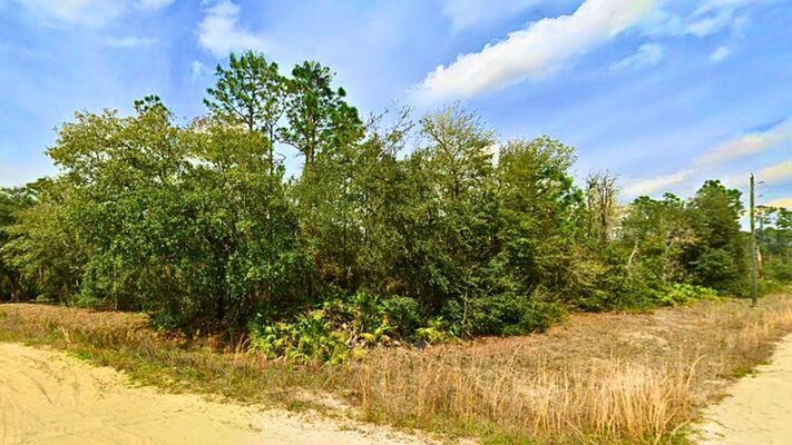 Build Near the Lake! 0.32-Acre Corner Lot in FL!