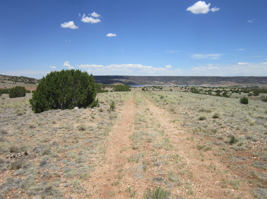 Raise Your Animals on 1.04-acres in St. Johns, Arizona!